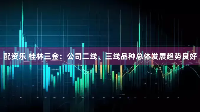 配资乐 桂林三金：公司二线、三线品种总体发展趋势良好