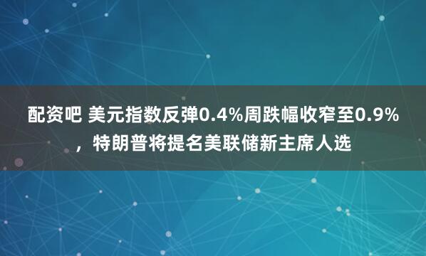 配资吧 美元指数反弹0.4%周跌幅收窄至0.9%，特朗普将提名美联储新主席人选